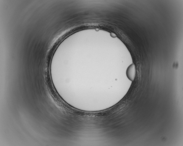 X0000113930728200910231920