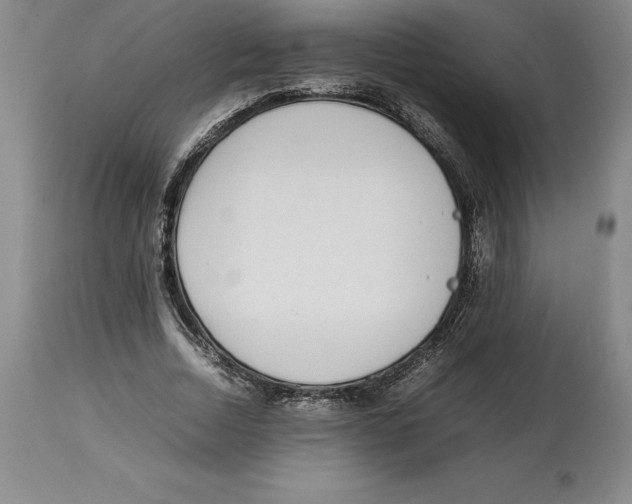 X0000113930730200910231921