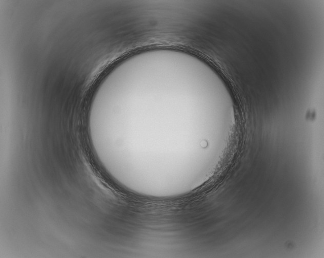 X0000113930736200910231921
