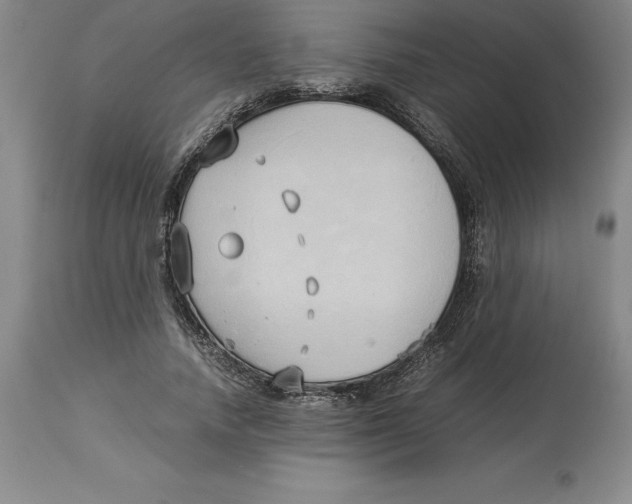 X0000113930738200910231921