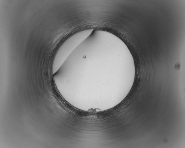 X0000113930740200910231921