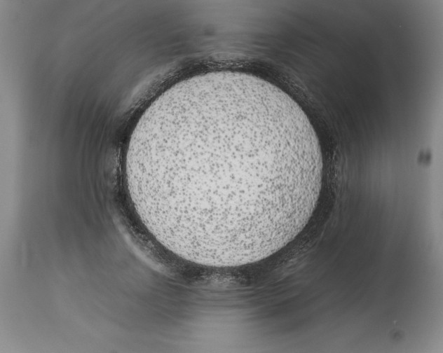 X0000113930742200910231921