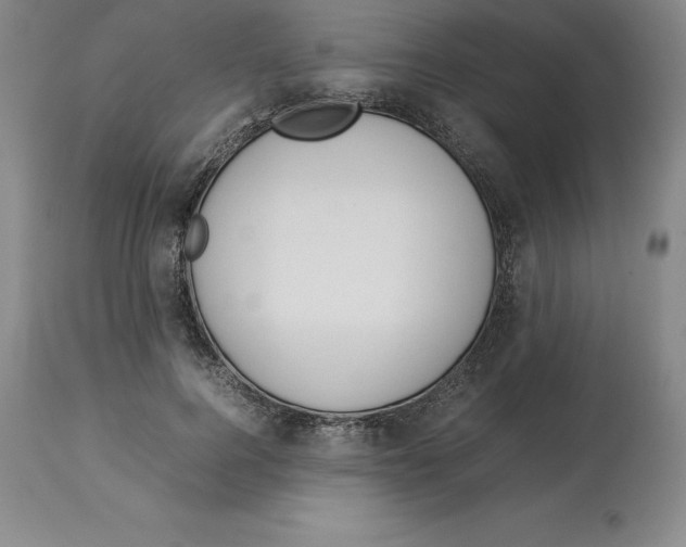 X0000113930744200910231921