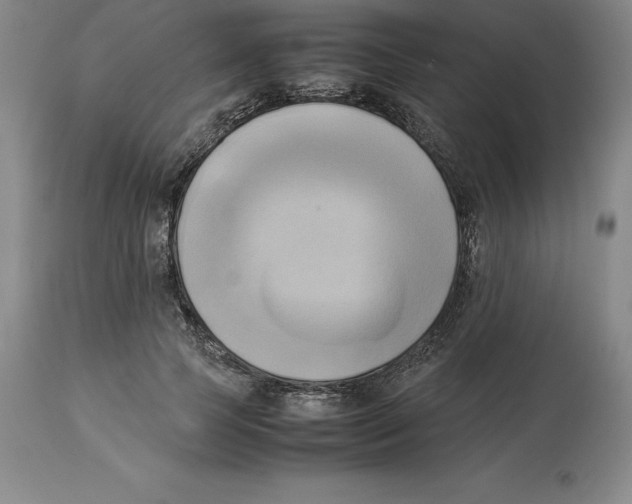 X0000113930745200910231921