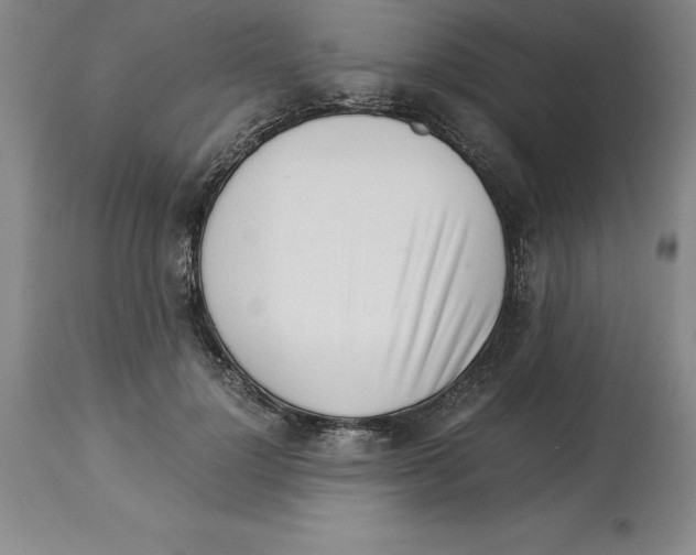 X0000113930748200910231921