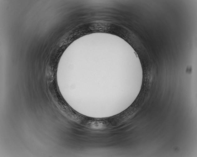 X0000113930751200910231921