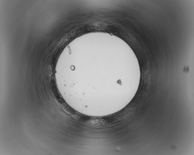 X0000113930752200910231921