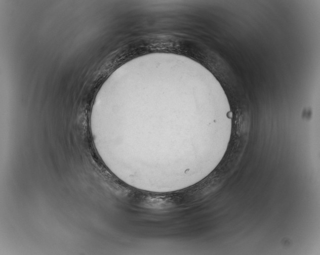X0000113930753200910231921