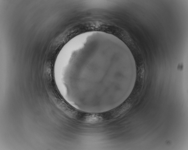 X0000113930754200910231921