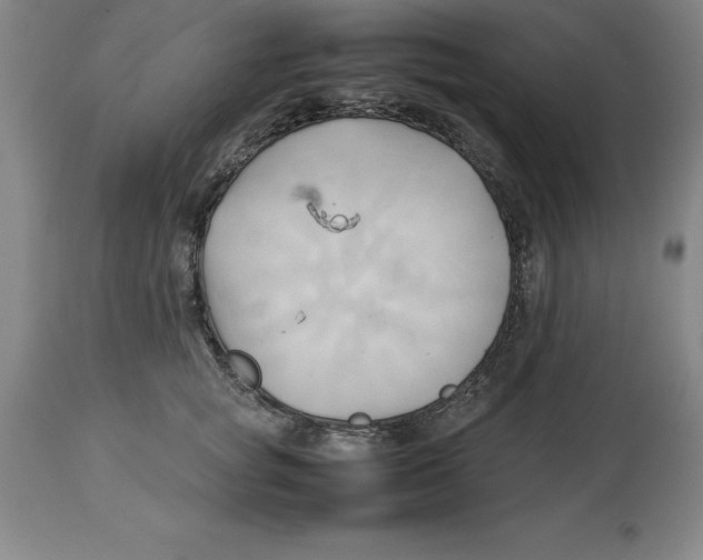 X0000113930757200910231921