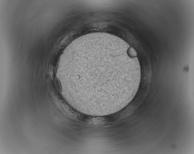 X0000113930758200910231921