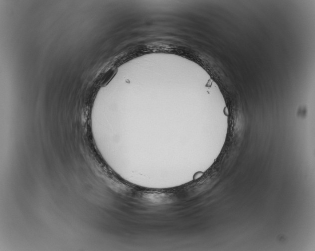 X0000113930759200910231921