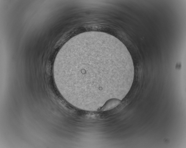 X0000113930760200910231921
