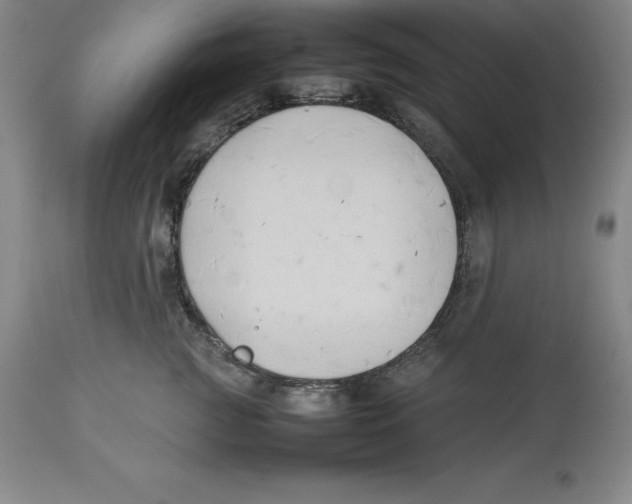 X0000113930761200910231921