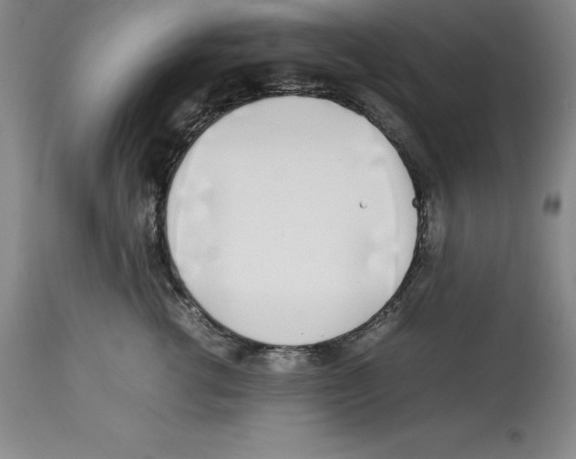 X0000113930762200910231921