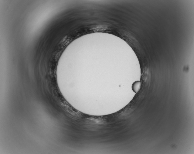 X0000113930763200910231921