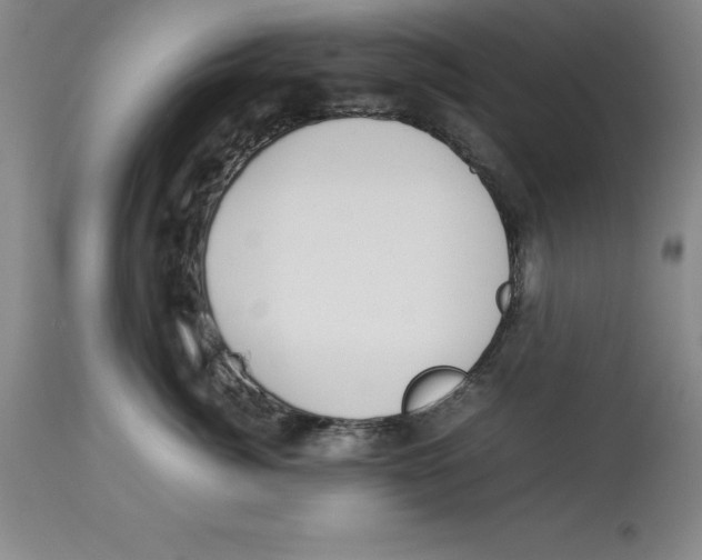 X0000113930764200910231921