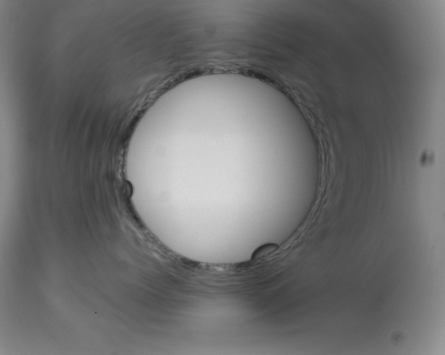 X0000113930768200910231921