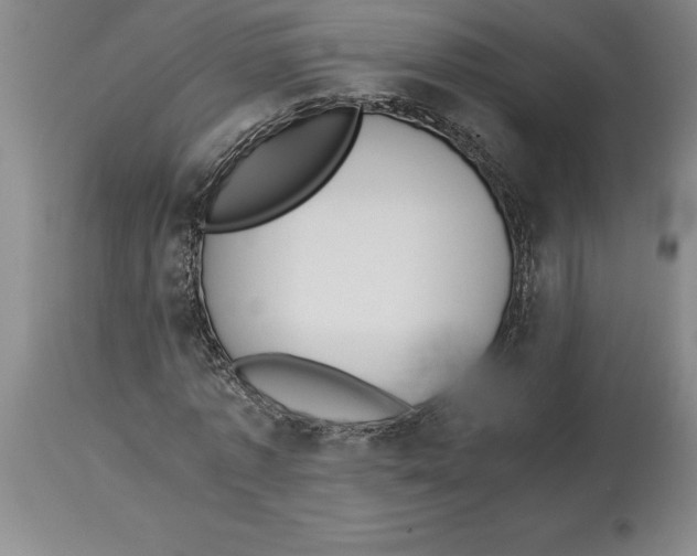 X0000113930773200910231920