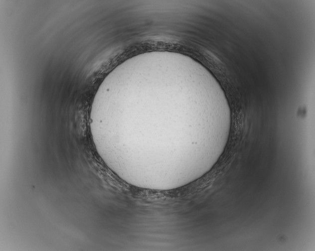 X0000113930774200910231920