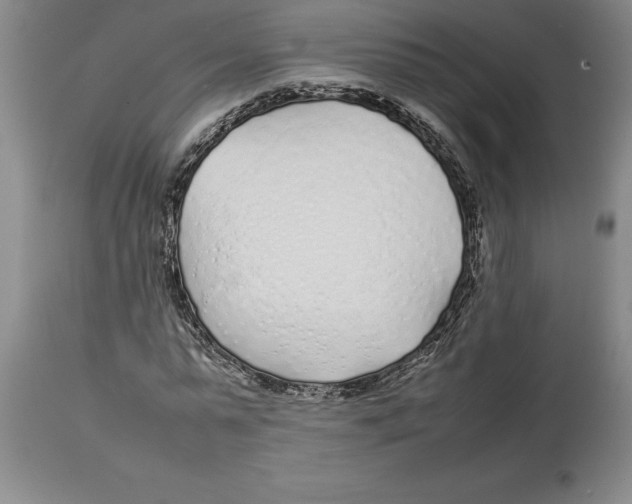 X0000113930775200910231920