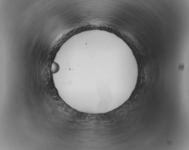 X0000113930776200910231920