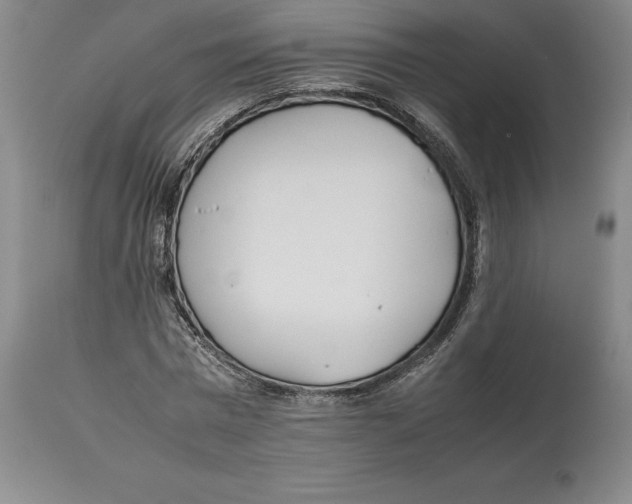 X0000113930777200910231920