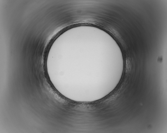 X0000113930780200910231920