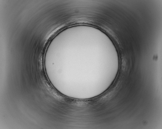 X0000113930782200910231920