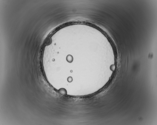 X0000113930783200910231920