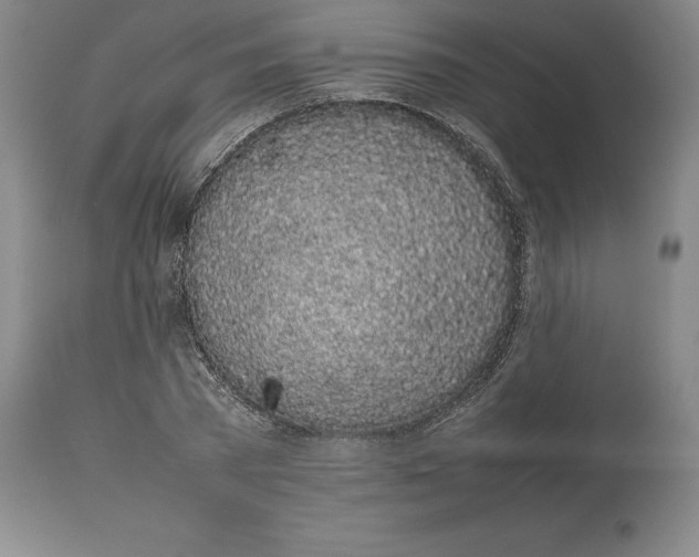 X0000113930785200910231920