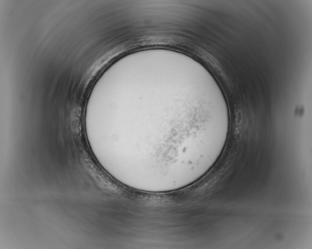 X0000113930786200910231920