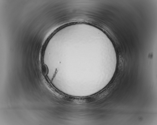 X0000113930788200910231920
