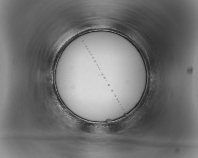 X0000113930789200910231920