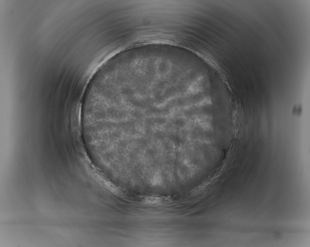 X0000113930790200910231920