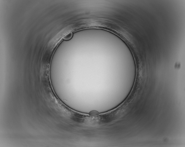 X0000113930793200910231920