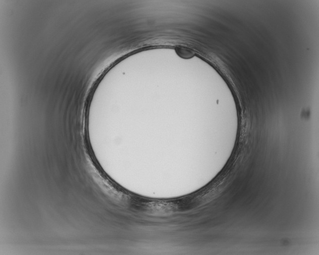 X0000113930795200910231920