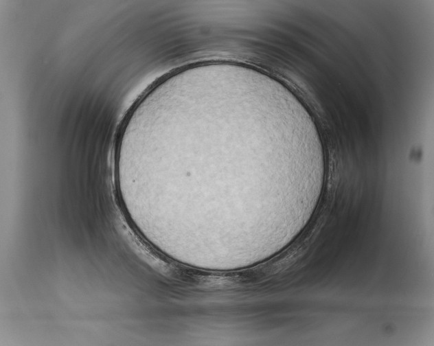X0000113930796200910231920
