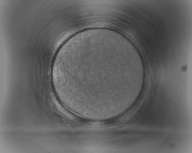 X0000113930797200910231920