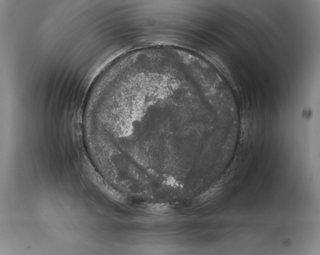 X0000113930798200910231920