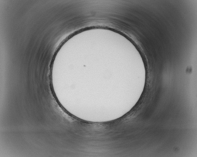 X0000113930799200910231920
