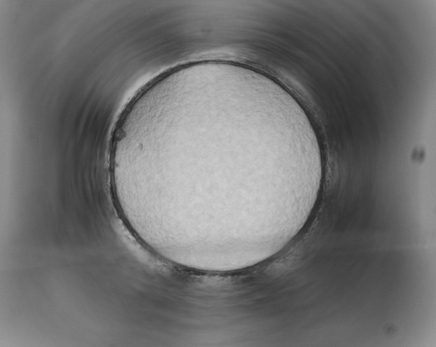 X0000113930800200910231920