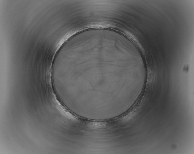 X0000113930802200910231920