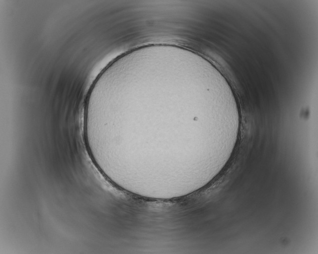 X0000113930804200910231920