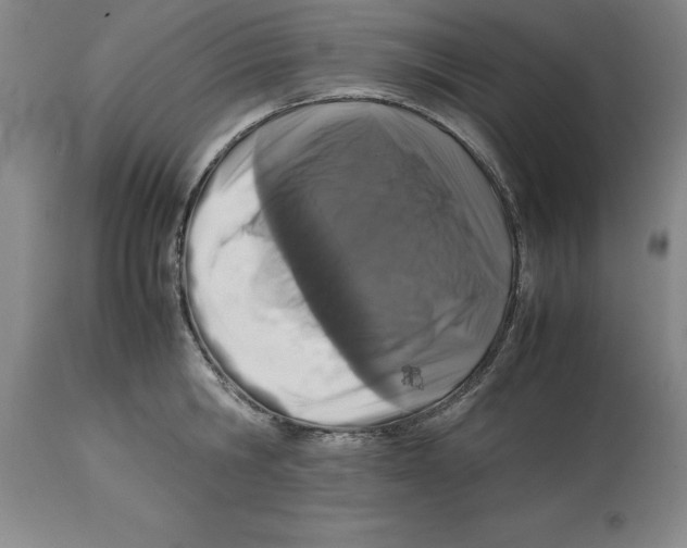 X0000113930806200910231920