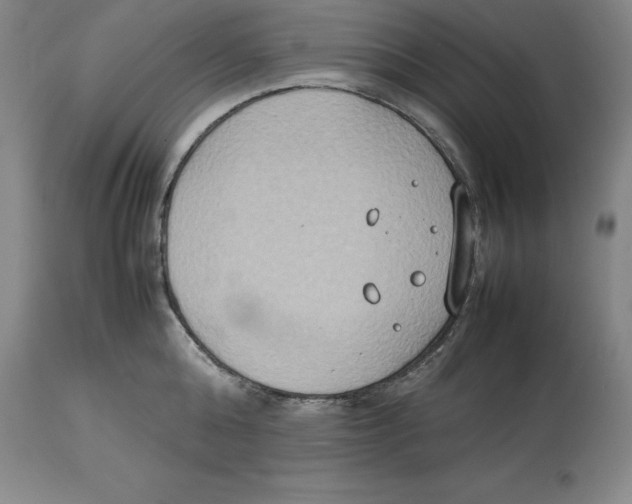 X0000113930808200910231920