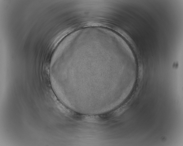 X0000113930809200910231920
