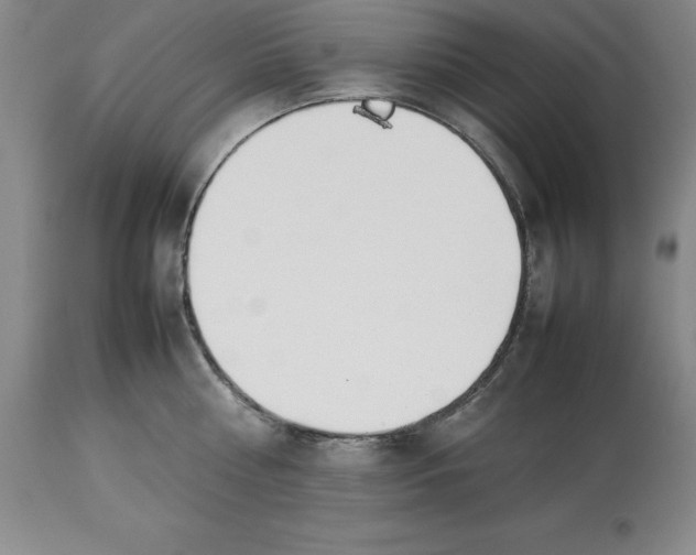 X0000113930810200910231920