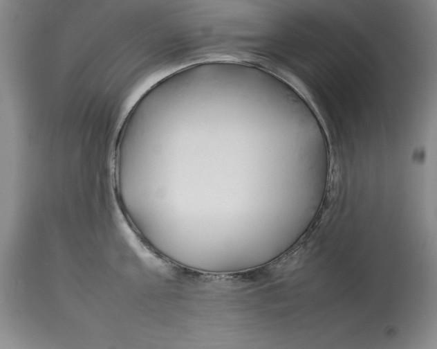 X0000113930811200910231920