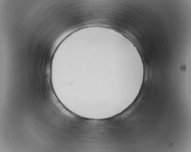 X0000113930812200910231920
